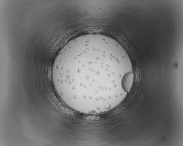 X0000115630426200911101123