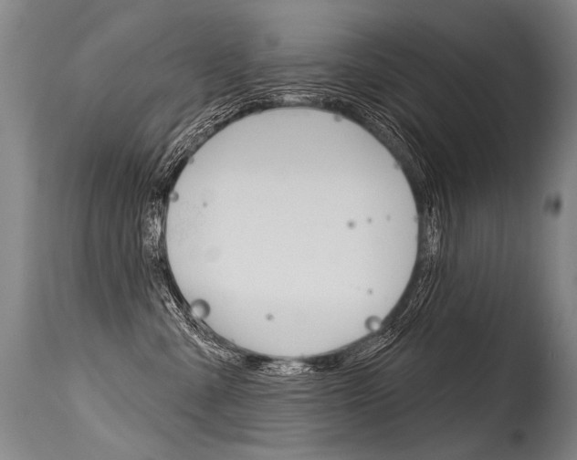 X0000115630427200911101123