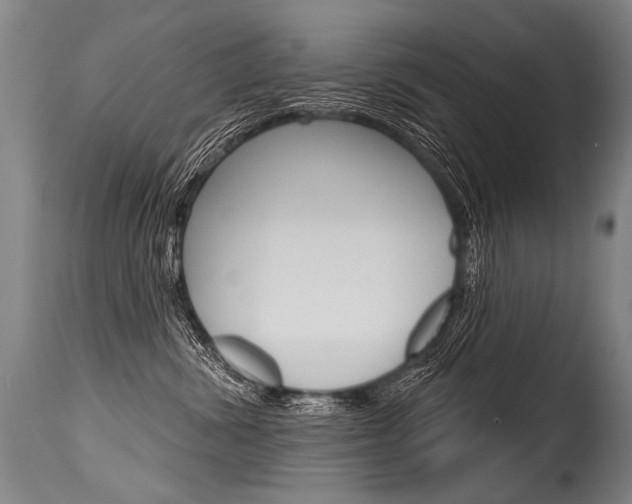 X0000115630428200911101123
