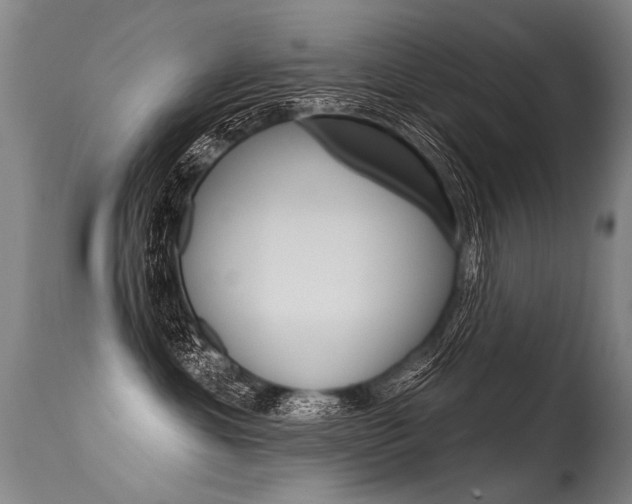 X0000115630429200911101123