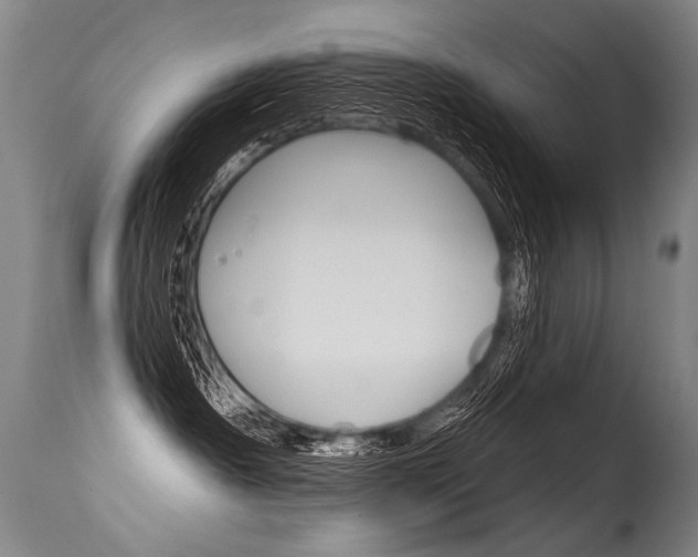 X0000115630430200911101123
