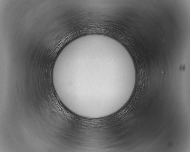 X0000115630431200911101123