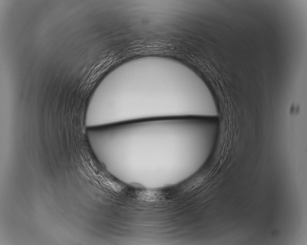 X0000115630432200911101123