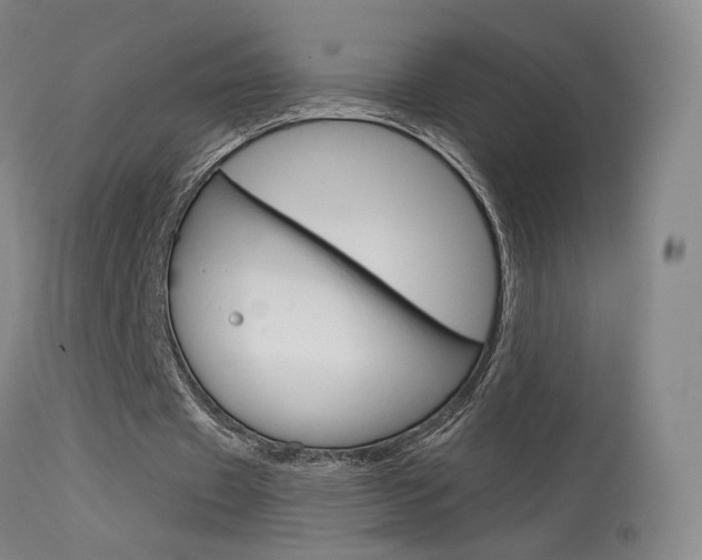 X0000115630433200911101122