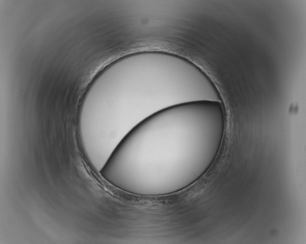 X0000115630434200911101122
