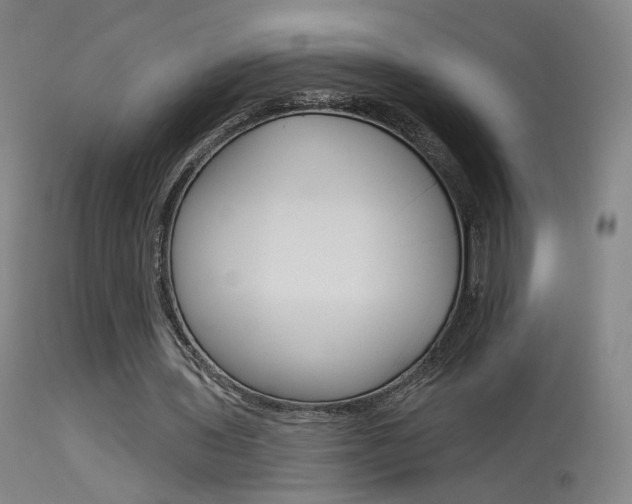 X0000115630435200911101122