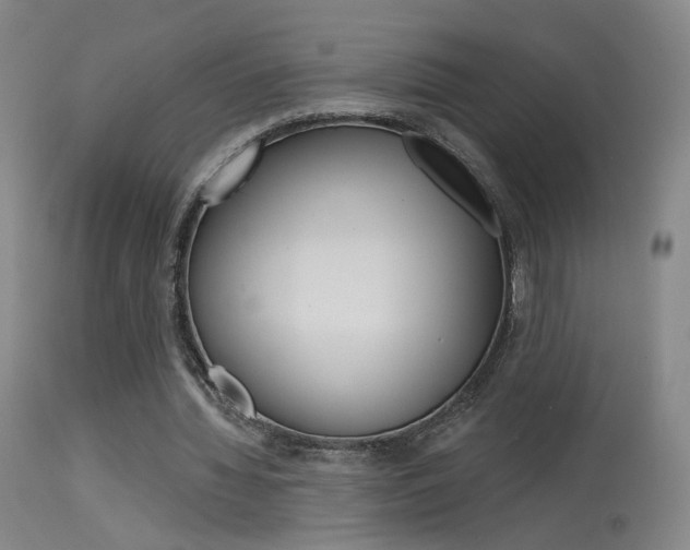 X0000115630436200911101122