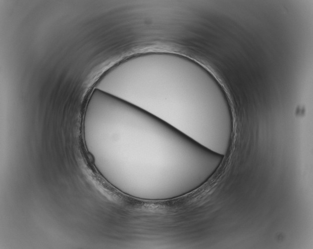 X0000115630437200911101122