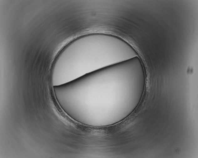 X0000115630438200911101122