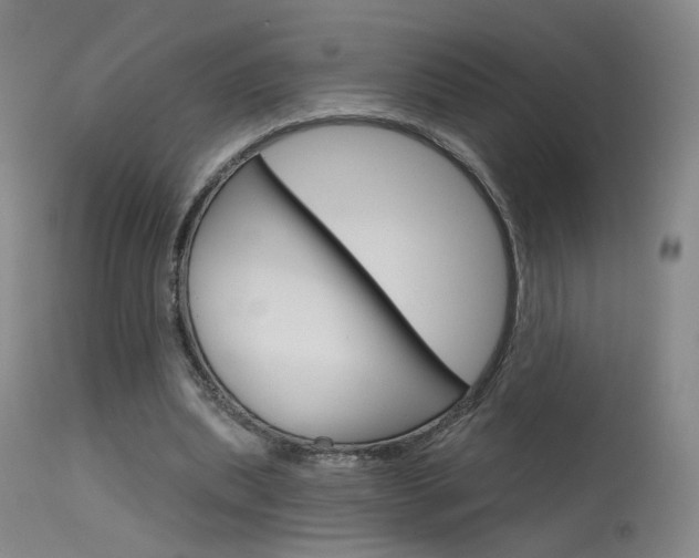 X0000115630439200911101122