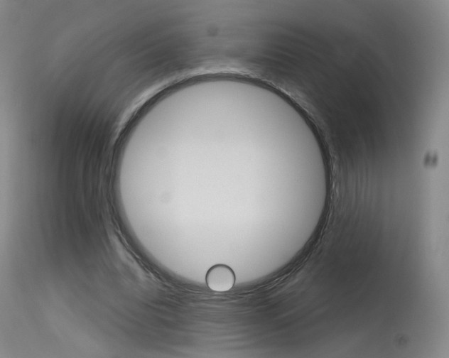 X0000115630440200911101122