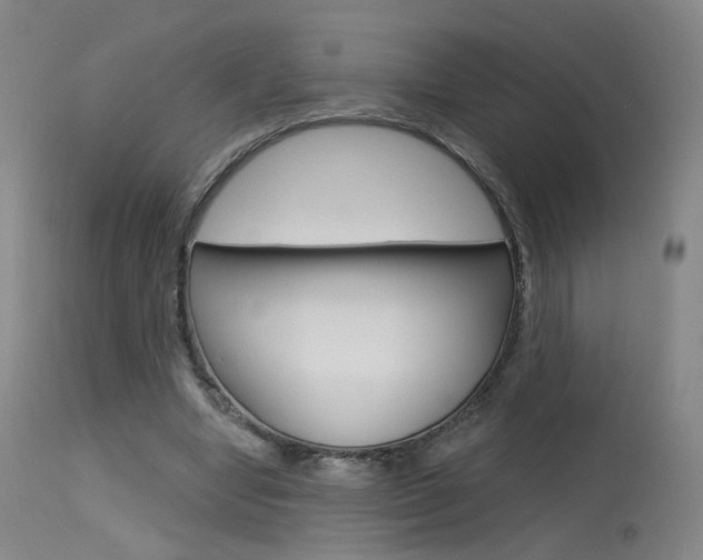 X0000115630442200911101122