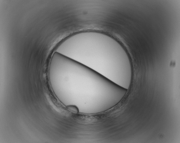 X0000115630443200911101122