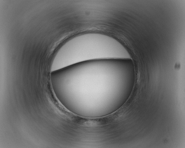 X0000115630444200911101122