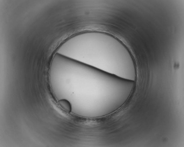 X0000115630445200911101122