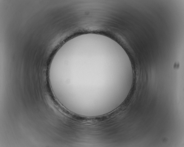 X0000115630447200911101122