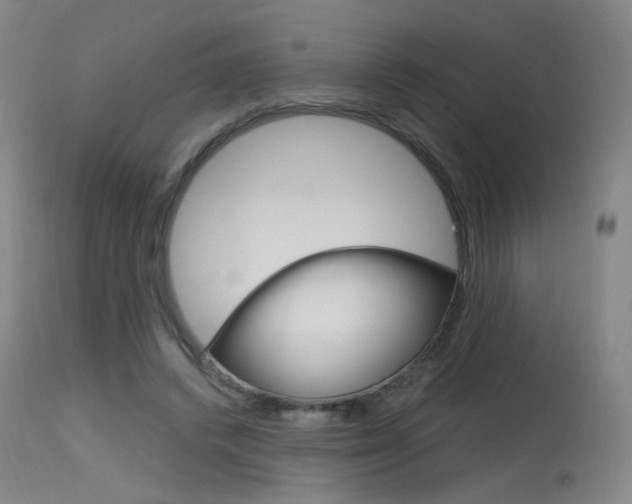 X0000115630448200911101122
