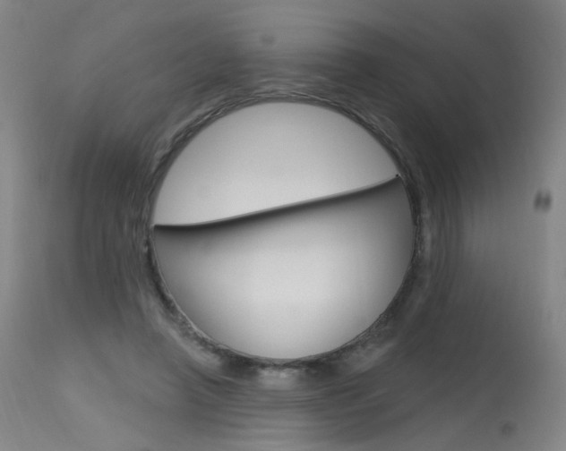 X0000115630450200911101122
