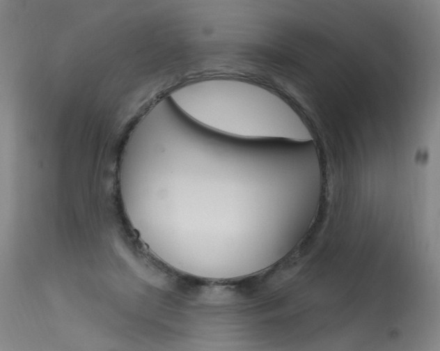 X0000115630451200911101122