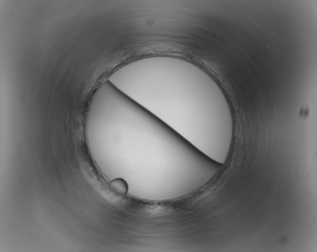 X0000115630453200911101122