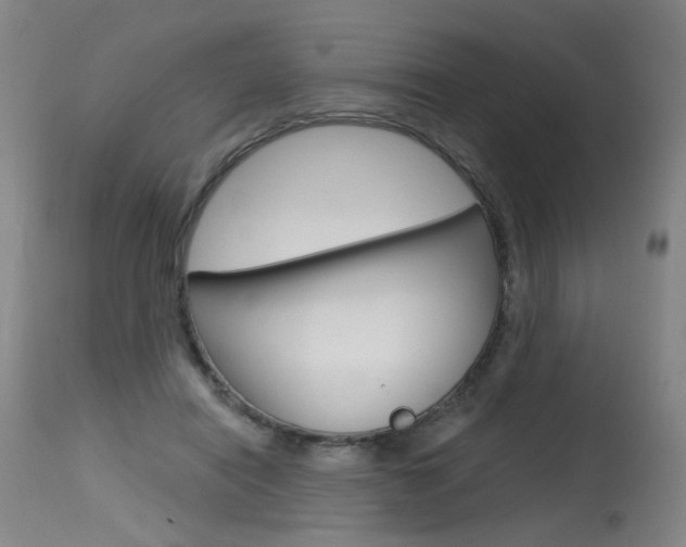 X0000115630454200911101122