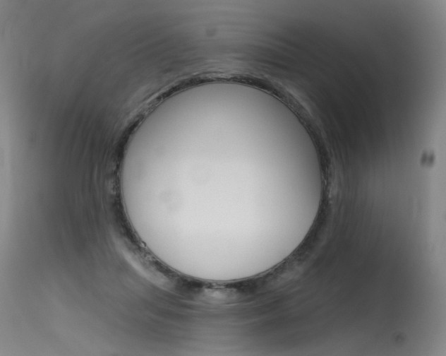 X0000115630455200911101122