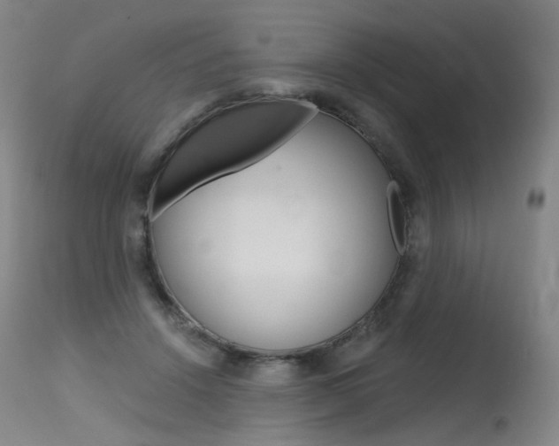 X0000115630456200911101122