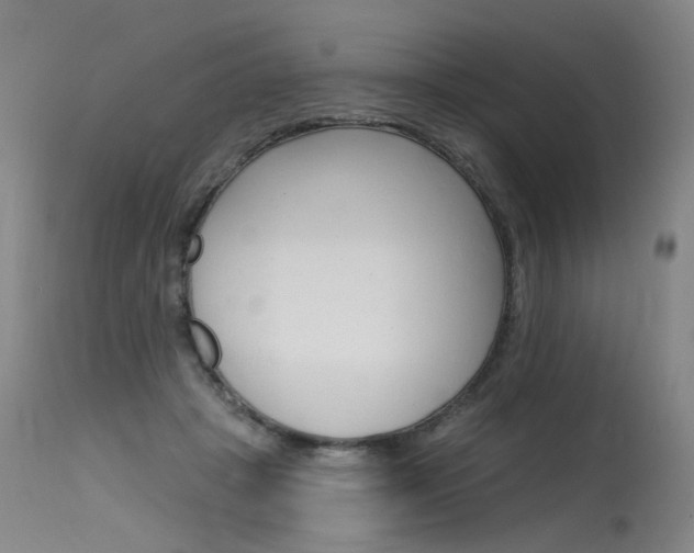X0000115630457200911101122