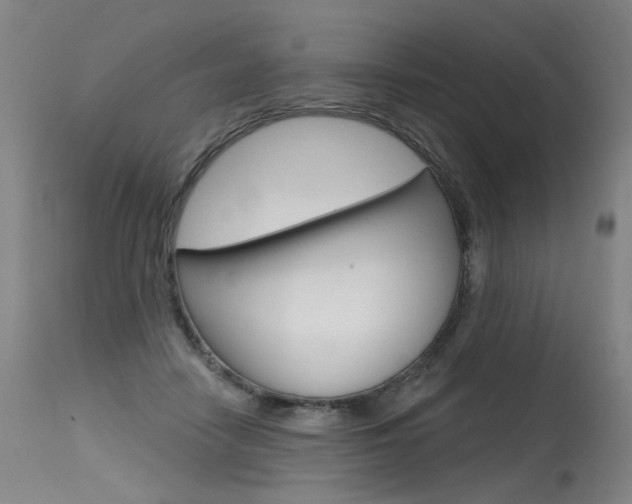 X0000115630458200911101122