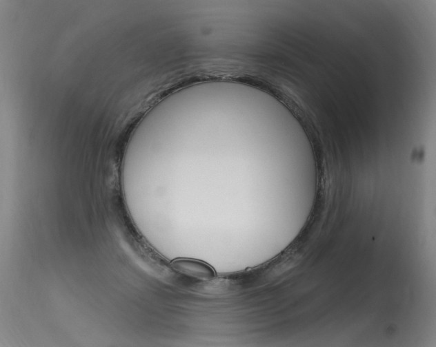 X0000115630459200911101122