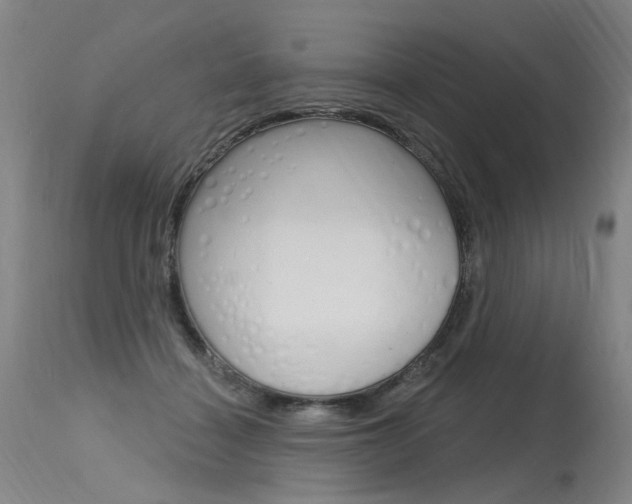 X0000115630460200911101122