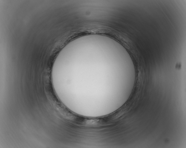 X0000115630461200911101122