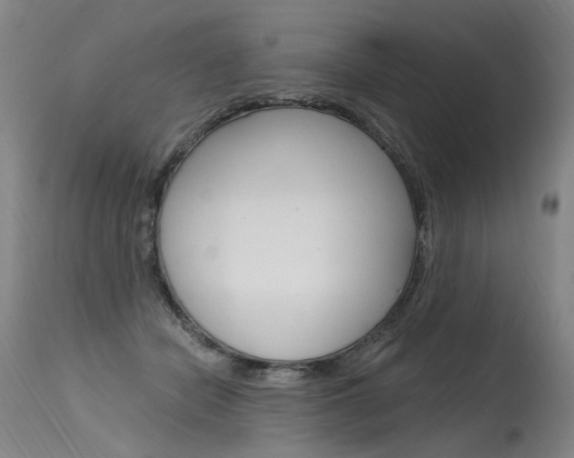 X0000115630462200911101122