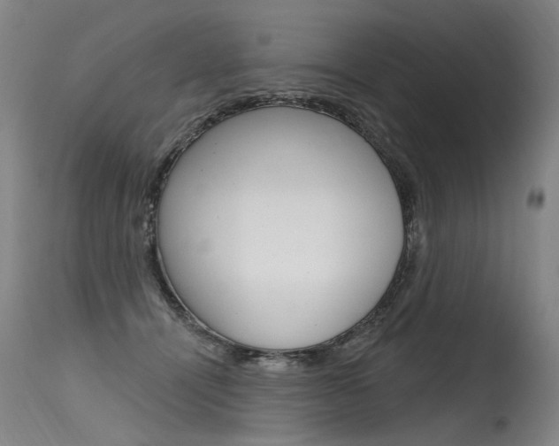 X0000115630464200911101122