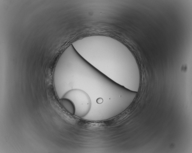 X0000115630465200911101122