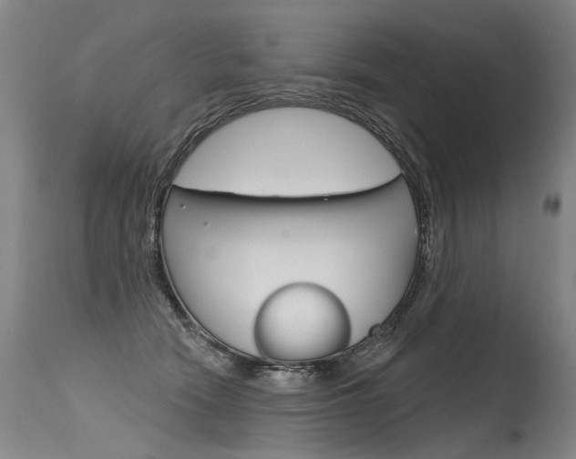 X0000115630466200911101122