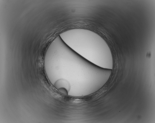X0000115630467200911101122