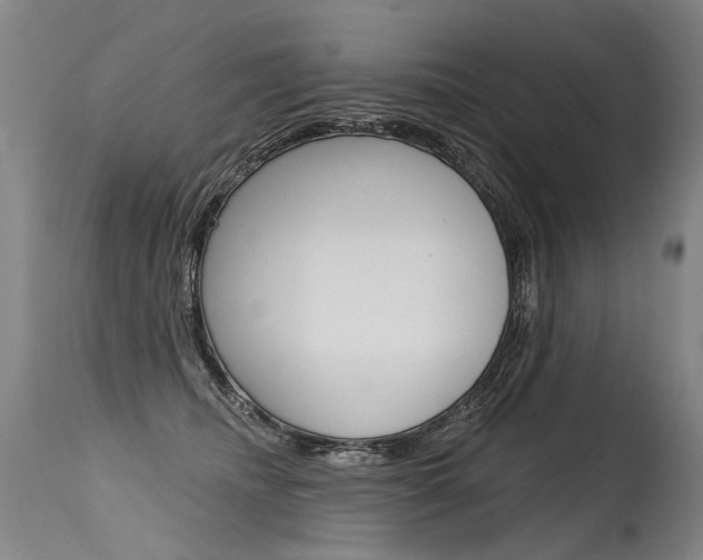 X0000115630468200911101122