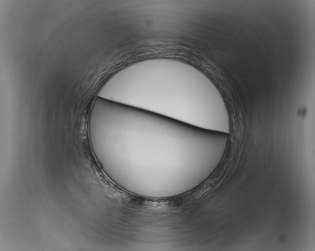 X0000115630469200911101122