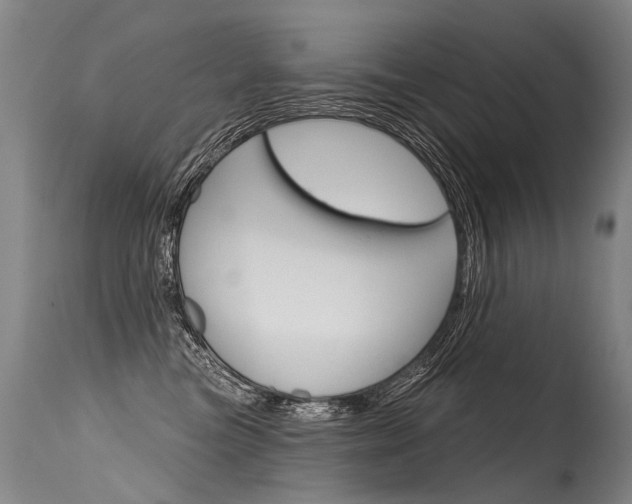 X0000115630473200911101122