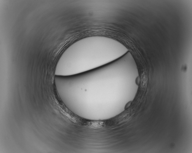 X0000115630474200911101122