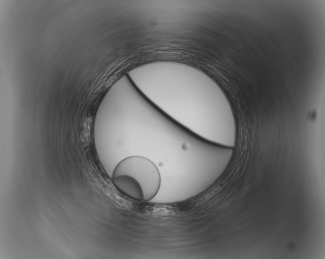 X0000115630475200911101122
