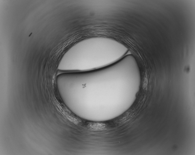 X0000115630476200911101122