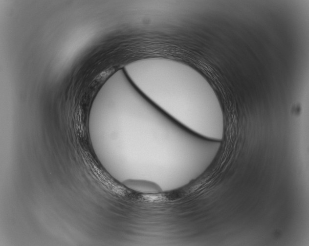 X0000115630477200911101122