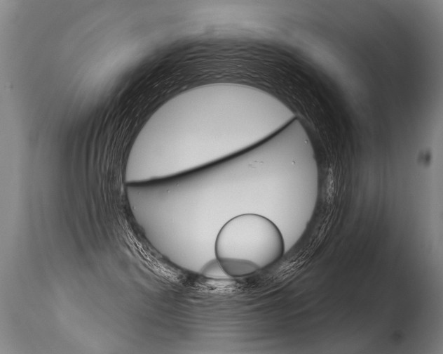 X0000115630478200911101123