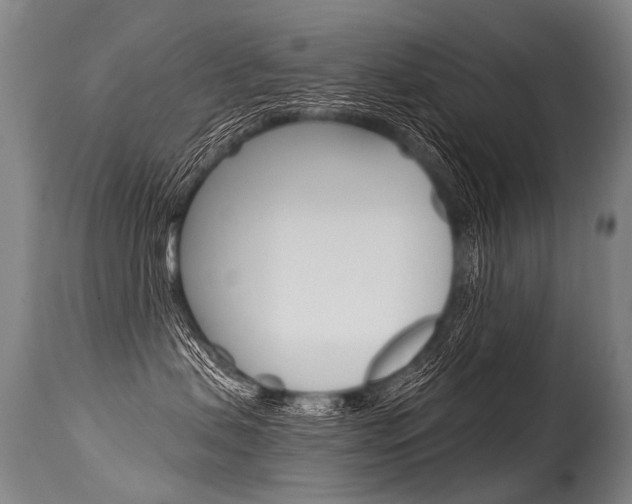 X0000115630479200911101123