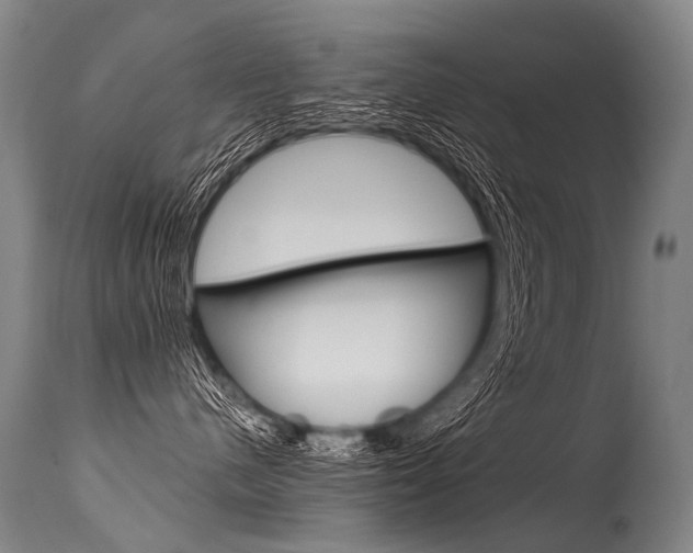 X0000115630480200911101123