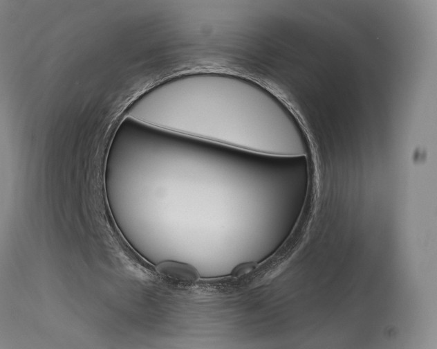 X0000115630481200911101122