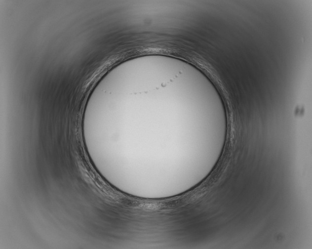 X0000115630482200911101122