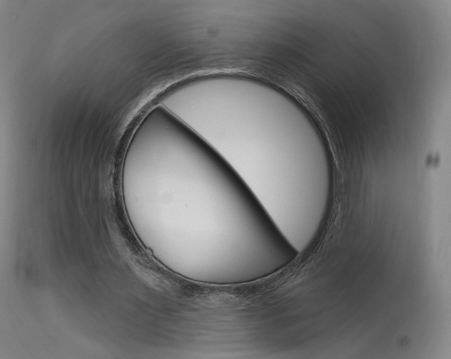 X0000115630483200911101122